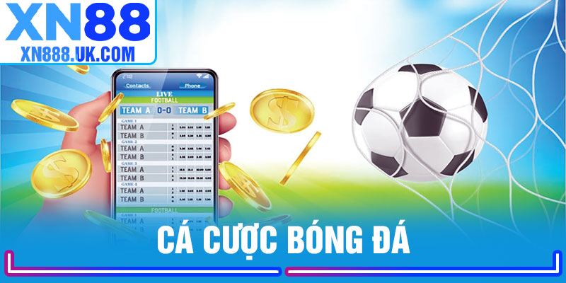 Cá Cược Bóng Đá